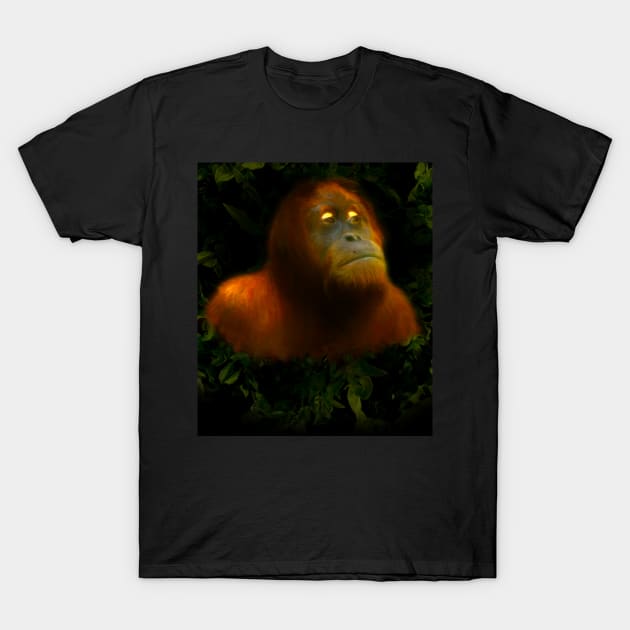 Orangutan T-Shirt by Guardi